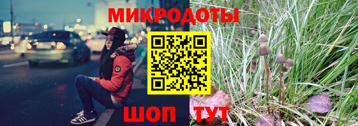Псилоцибиновые грибы GOLDEN TEACHER Бор